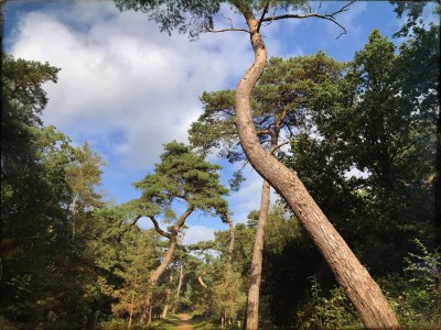 Holiday house Lovely cottage Bergen - Environment photo 32