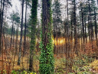 Holiday house Lovely cottage Bergen - Environment photo 33