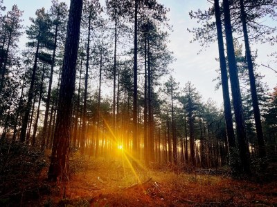 Holiday house Lovely cottage Bergen - Environment photo 34