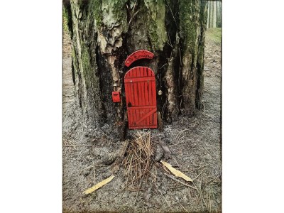 Holiday house Lovely cottage Bergen - Environment photo 36