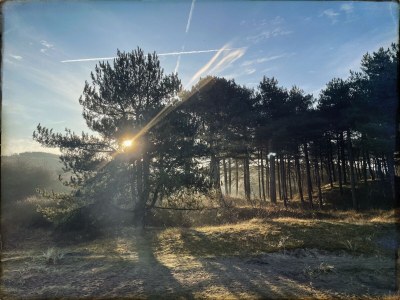 Holiday house Lovely cottage Bergen - Environment photo 38