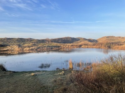 Holiday house Lovely cottage Bergen - Environment photo 39