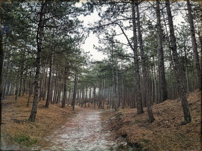 Holiday house Lovely cottage Bergen - Environment photo 40