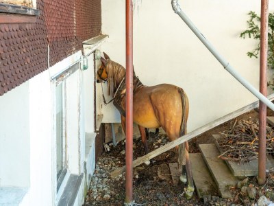 Apartment Idyllische Wohnung in Sibratsgfäll - Outdoor photo 3