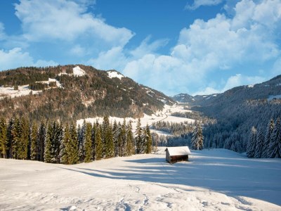 Apartment Idyllische Wohnung in Sibratsgfäll - Environment photo 20
