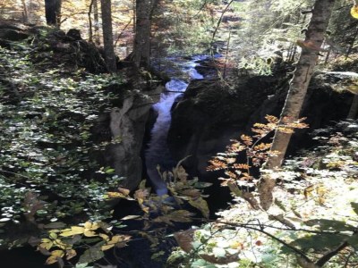 Apartment Idyllische Wohnung in Sibratsgfäll - Environment photo 27