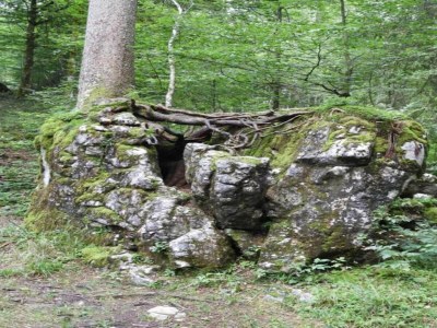 Apartment Idyllische Wohnung in Sibratsgfäll - Environment photo 36