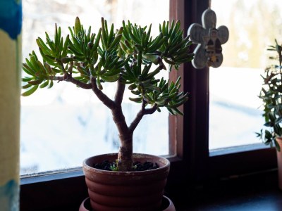 Apartment Idyllische Wohnung in Sibratsgfäll - Outdoor photo 40