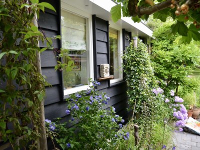 Holiday house La Cabane - Outdoor photo 3