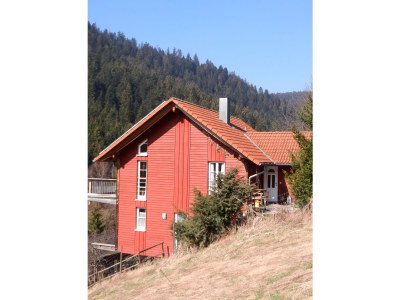 Holiday house Bullerbü Hütte - Outdoor photo 3