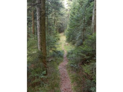 Holiday house Bullerbü Hütte - Environment photo 18