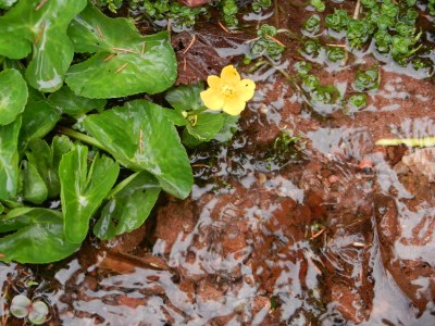 Holiday house Bullerbü Hütte - Environment photo 20