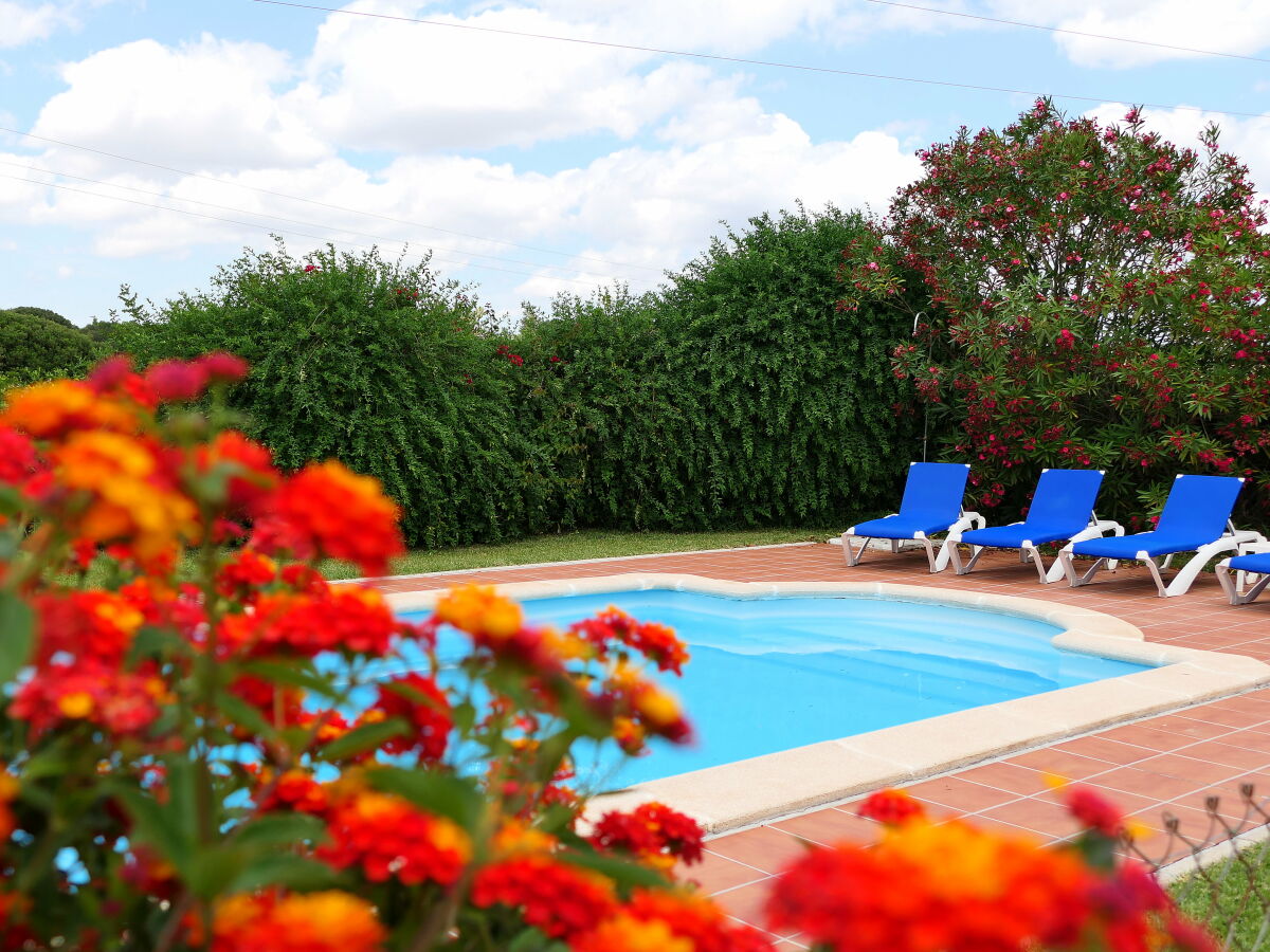 Holiday house 0532 Finca Cigueña