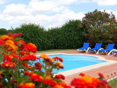 Holiday house 0532 Finca Cigueña in Chiclana de la Frontera - Holiday house