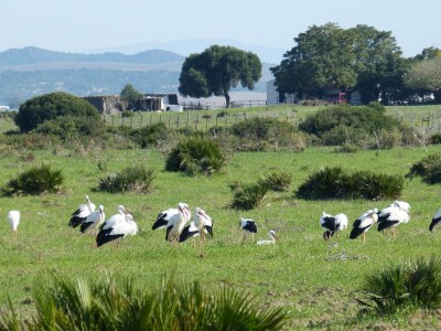 Holiday house 0532 Finca Cigueña - Environment photo 26