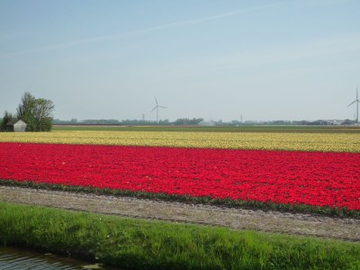 Holiday house Huis Antje - Park De Blenck 32 - Environment photo 21