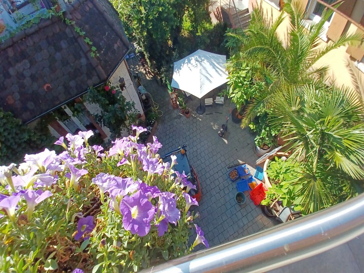 Apartment Ferienwohnung  Monet in Oberrotweil - Outdoor photo 4