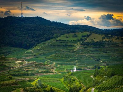 Apartment Ferienwohnung  Monet in Oberrotweil - Environment photo 18