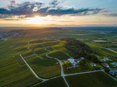 Apartment Ferienwohnung  Monet in Oberrotweil - Environment photo 19