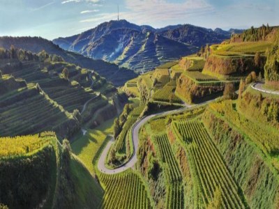 Apartment Ferienwohnung  Monet in Oberrotweil - Environment photo 20