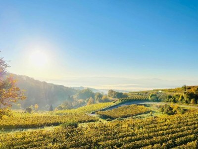 Apartment Ferienwohnung  Monet in Oberrotweil - Environment photo 22