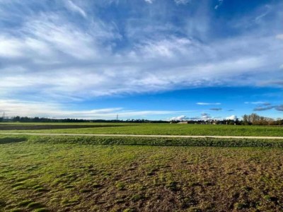 Apartment Ferienwohnung  Monet in Oberrotweil - Environment photo 25