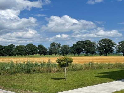 Apartment Ferienwohnung  Monet in Oberrotweil - Environment photo 27