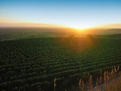 Apartment Ferienwohnung  Monet in Oberrotweil - Environment photo 32