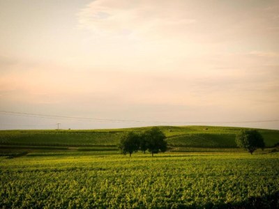 Apartment Ferienwohnung  Monet in Oberrotweil - Environment photo 34