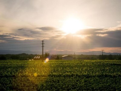 Apartment Ferienwohnung  Monet in Oberrotweil - Environment photo 38