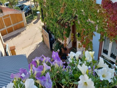 Apartment Weinberg-Ferienwohnung, Oberrotweil - Outdoor photo 5