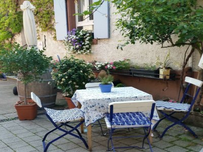 Apartment Weinberg-Ferienwohnung, Oberrotweil - Outdoor photo 11