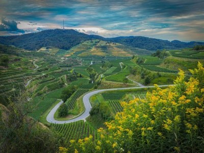 Apartment Weinberg-Ferienwohnung, Oberrotweil - Environment photo 20
