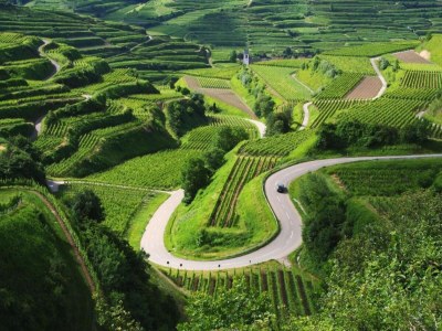 Apartment Weinberg-Ferienwohnung, Oberrotweil - Environment photo 29