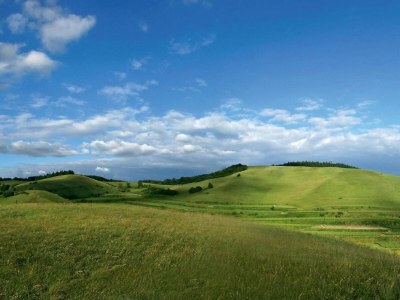Apartment Weinberg-Ferienwohnung, Oberrotweil - Environment photo 38
