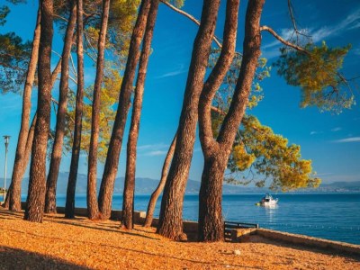 Apartment Geräumige Wohnung mit Terrasse und Garten - Environment photo 38