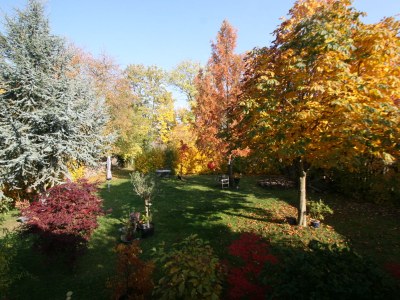 Holiday apartment Apartment St Goar-Loos - Outdoor photo 3