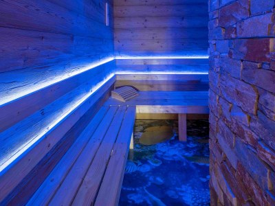 Holiday apartment Luxus Ferienwohnung Chalet Seenähe - Features photo 24