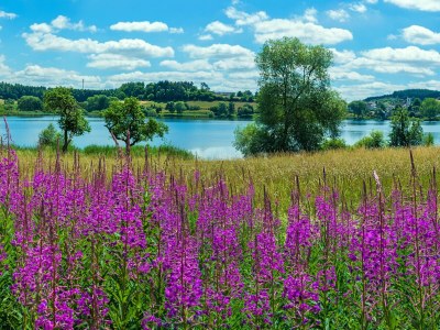 Holiday apartment Luxus Ferienwohnung Chalet Seenähe - Environment photo 37