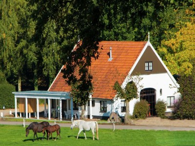 Holiday park Chalet in Netherlands with Private Garden - Holiday park
