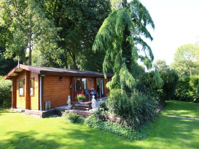 Holiday park Chalet in Netherlands with Private Garden - Outdoor photo 3