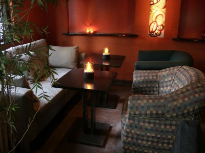 Holiday park Chalet in Netherlands with Private Garden - Features photo 8