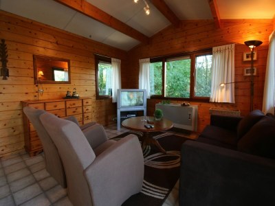 Holiday park Chalet in Netherlands with Private Garden - Features photo 9