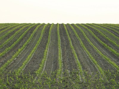 Holiday park Chalet in Netherlands with Private Garden - Environment photo 17