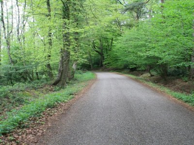 Holiday park Chalet in Netherlands with Private Garden - Environment photo 18