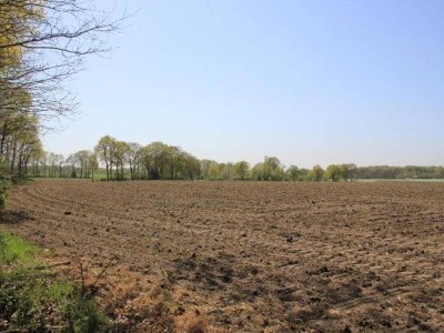 Holiday park Chalet in Netherlands with Private Garden - Environment photo 20