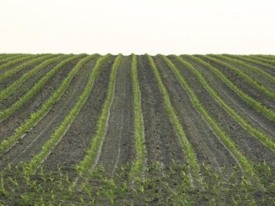 Holiday park Chalet in Netherlands with Private Garden - Environment photo 25