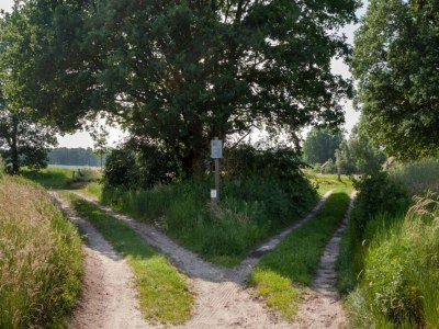 Holiday park Chalet in Netherlands with Private Garden - Environment photo 26