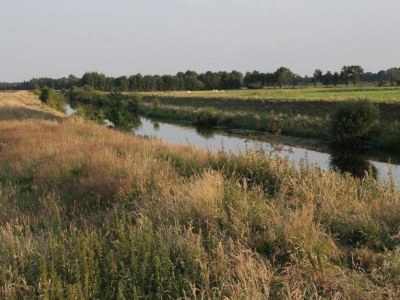 Holiday park Chalet in Netherlands with Private Garden - Environment photo 28