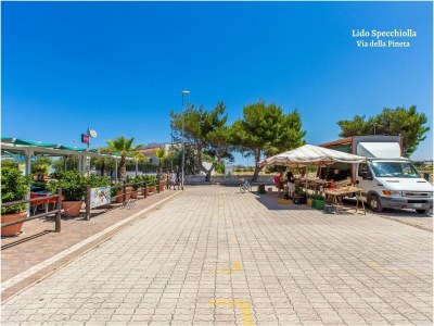 Holiday house Casa Bianca in Salento - Environment photo 35